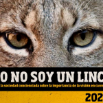 El 44% de los conductores afirma haber tenido un susto al volante por culpa de su visión